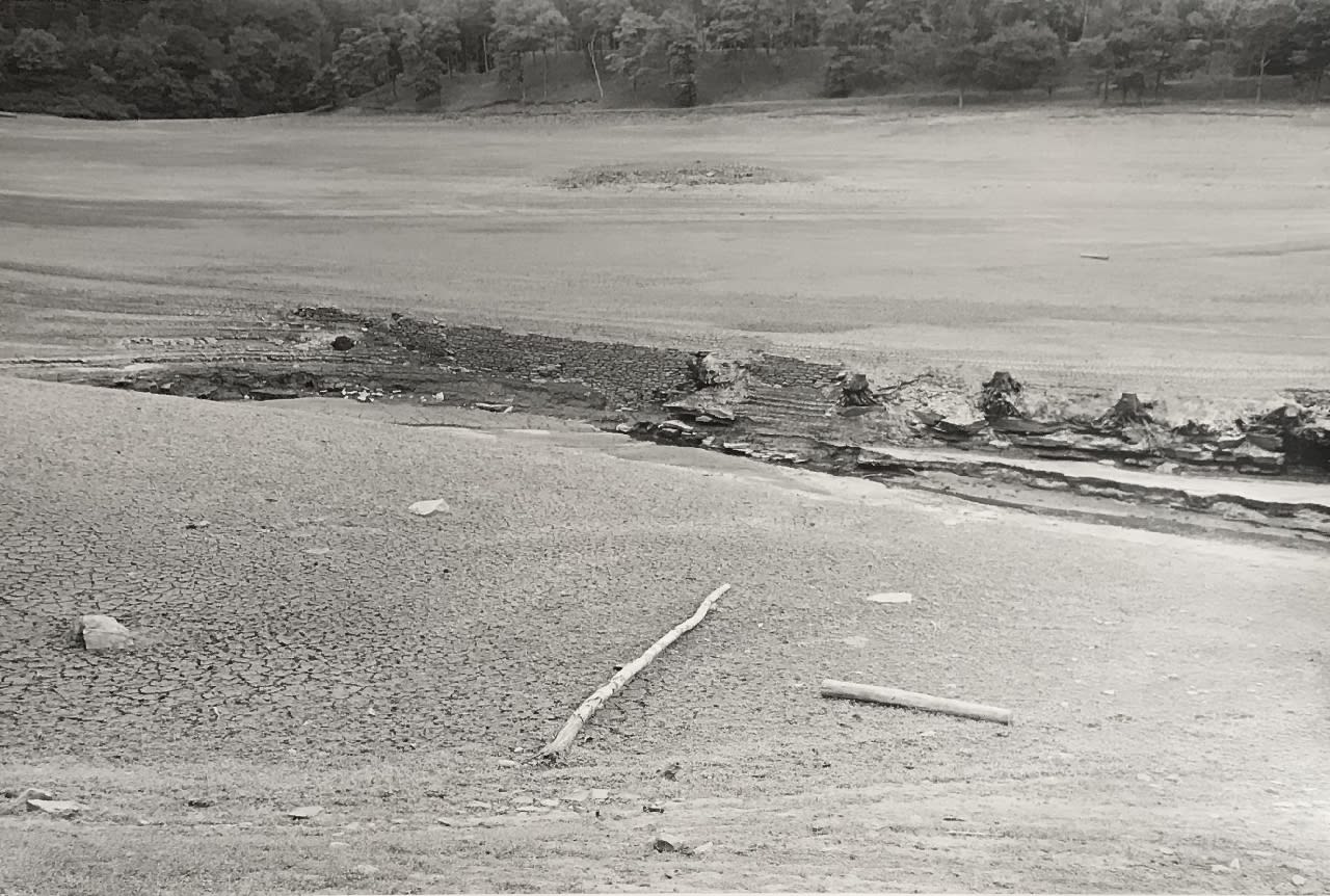 Paul Hill, Summer, Derwent Reservoir, 1989, 1989