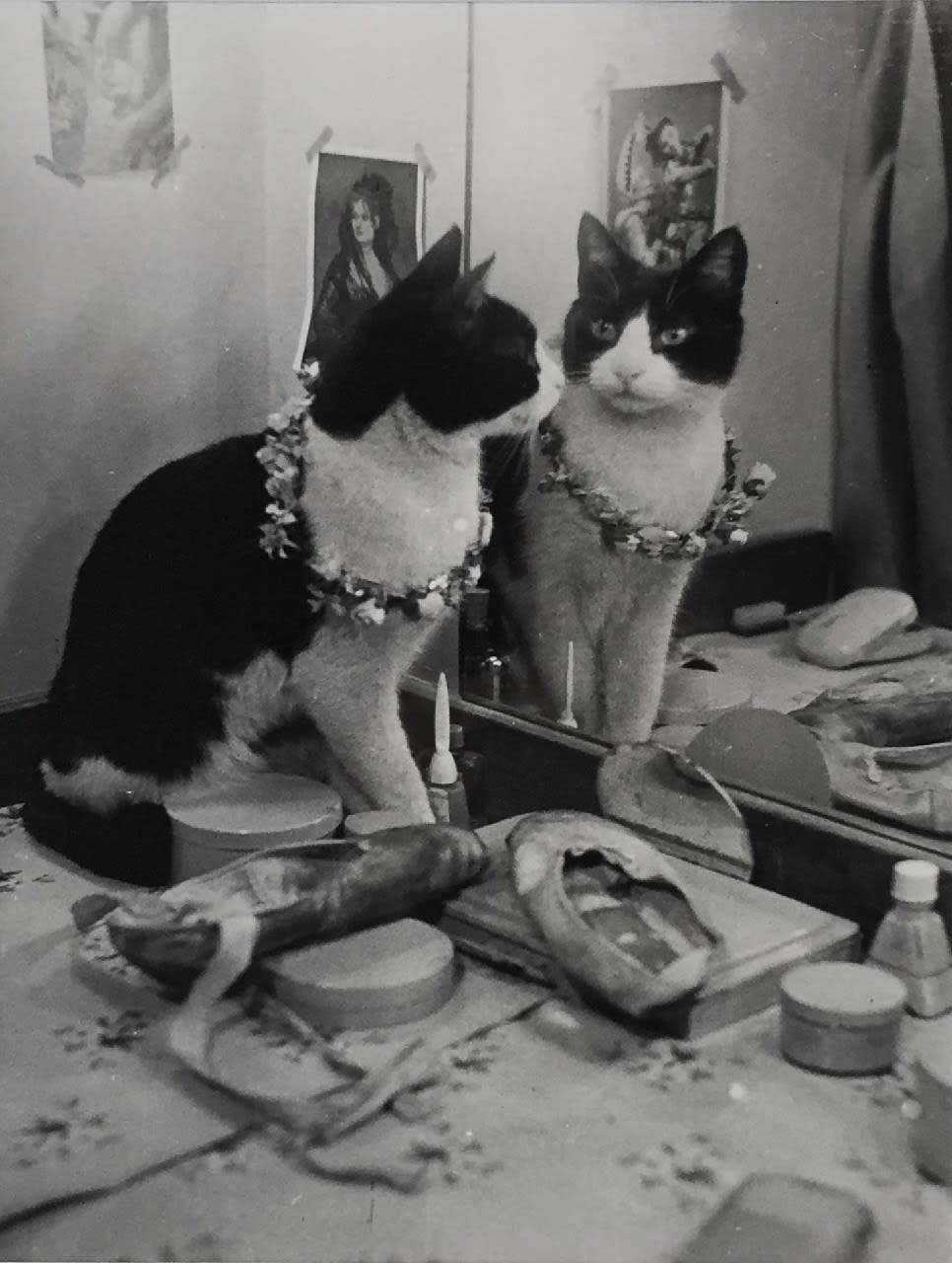 Thurston Hopkins, Cats of London, 1951