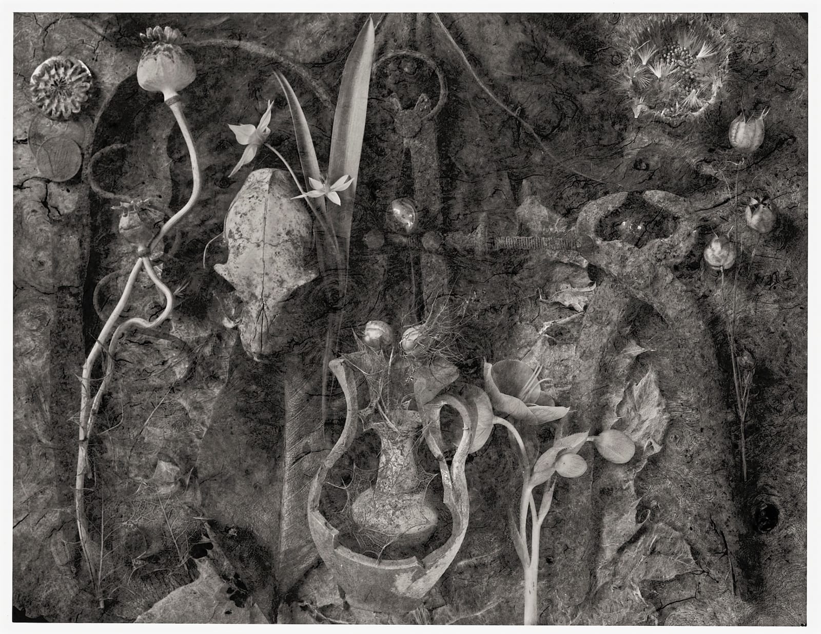 John Blakemore, The Garden - Fragments of a History No.1, 1991