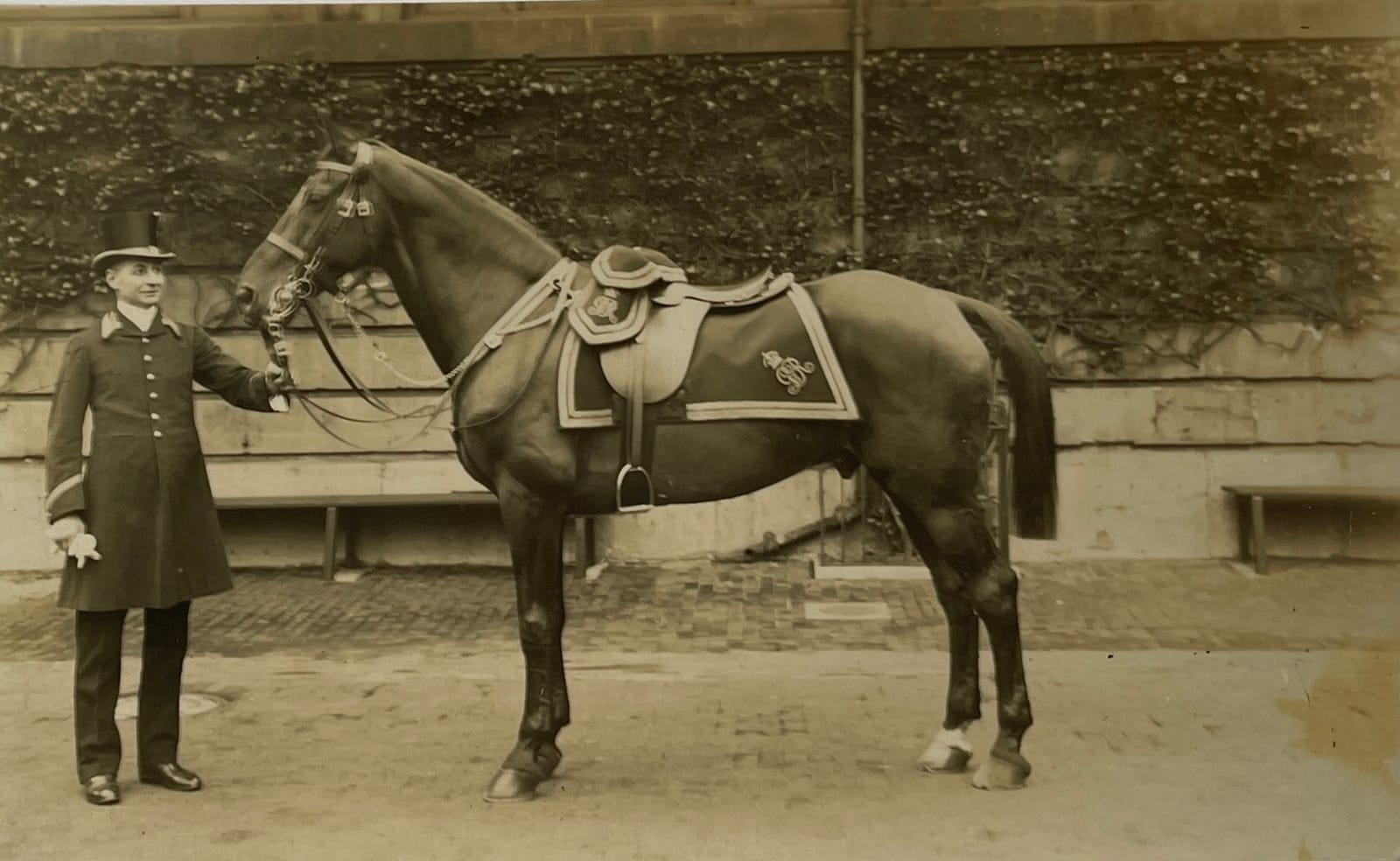 Christina Broom, The King's Horse, 1912
