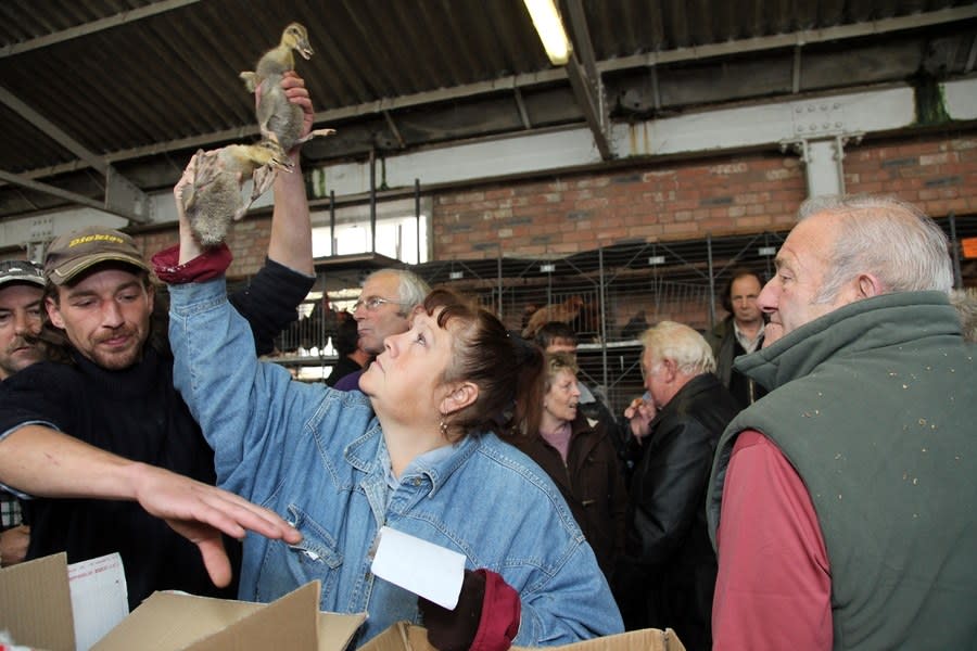 Ken Grant, The Birdhouse, 2012
