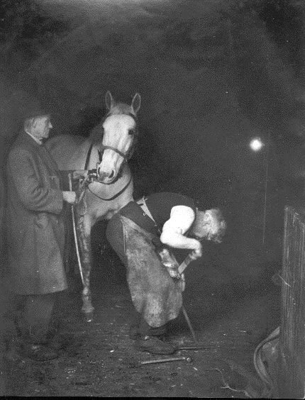 Bert Hardy, Life in the Elephant. Shoeing the Horse, Blacksmith, Arch Street, 1948