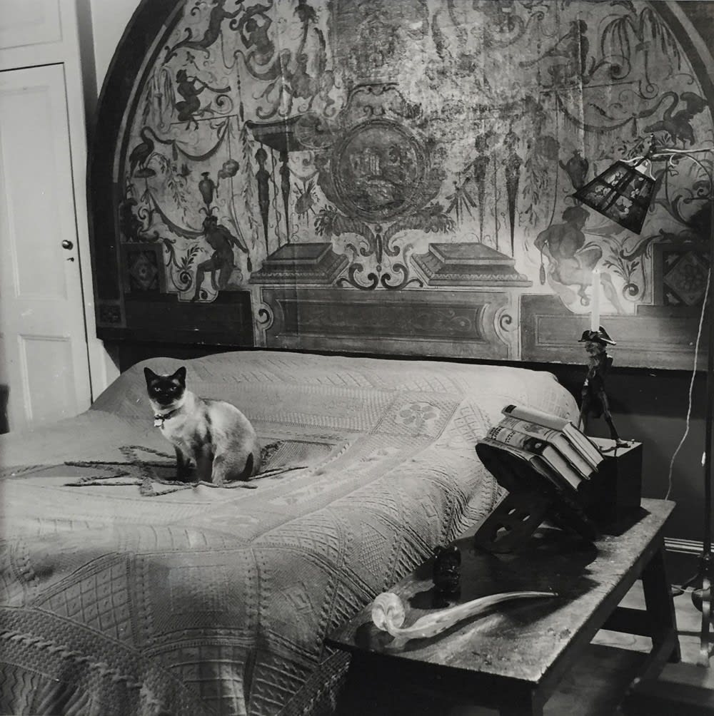 Thurston Hopkins, Cats of London, 1951