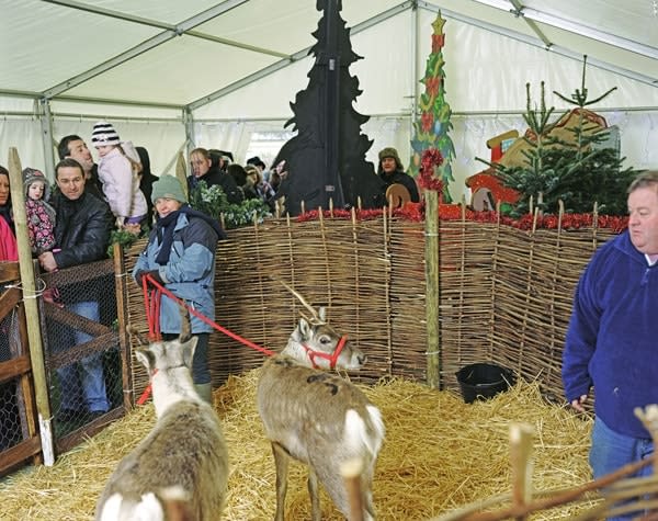 Anna Fox, Resort 1, Christmas, 2010, 2010