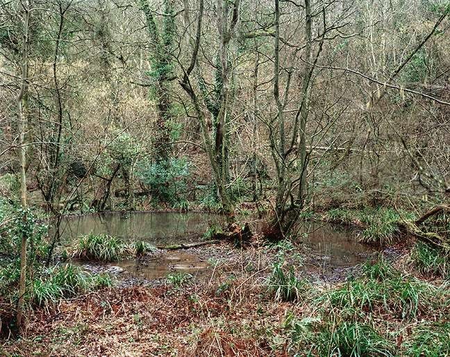 Jem Southam, The Painter's Pool, 10 February 2002, 2002