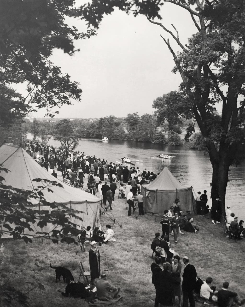 Shirley Baker, Regata, 1961-65