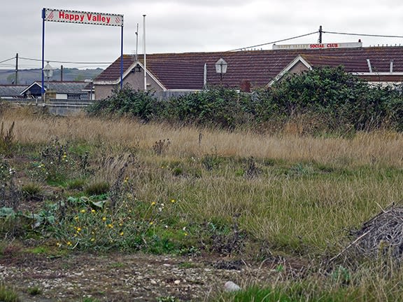 The Caravan Gallery, Happy Valley, Isle of Sheppey, 2009