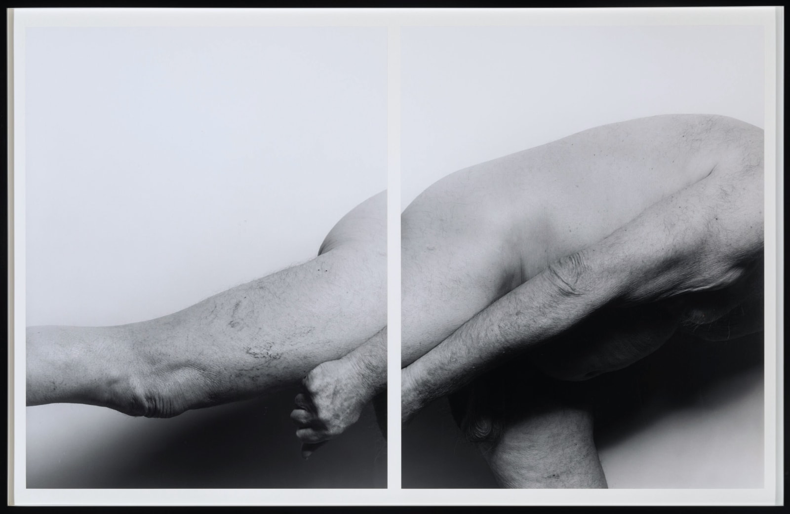 John Coplans, Self Portrait, Sideways, No. 6 (diptych), 2001