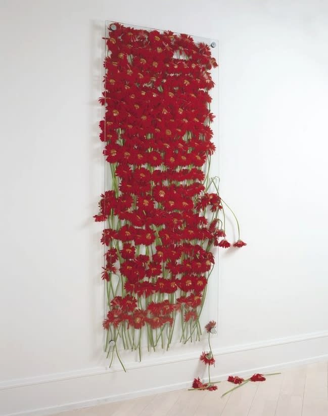 Anya Gallaccio, Preserve 'Monica' (door), 1993