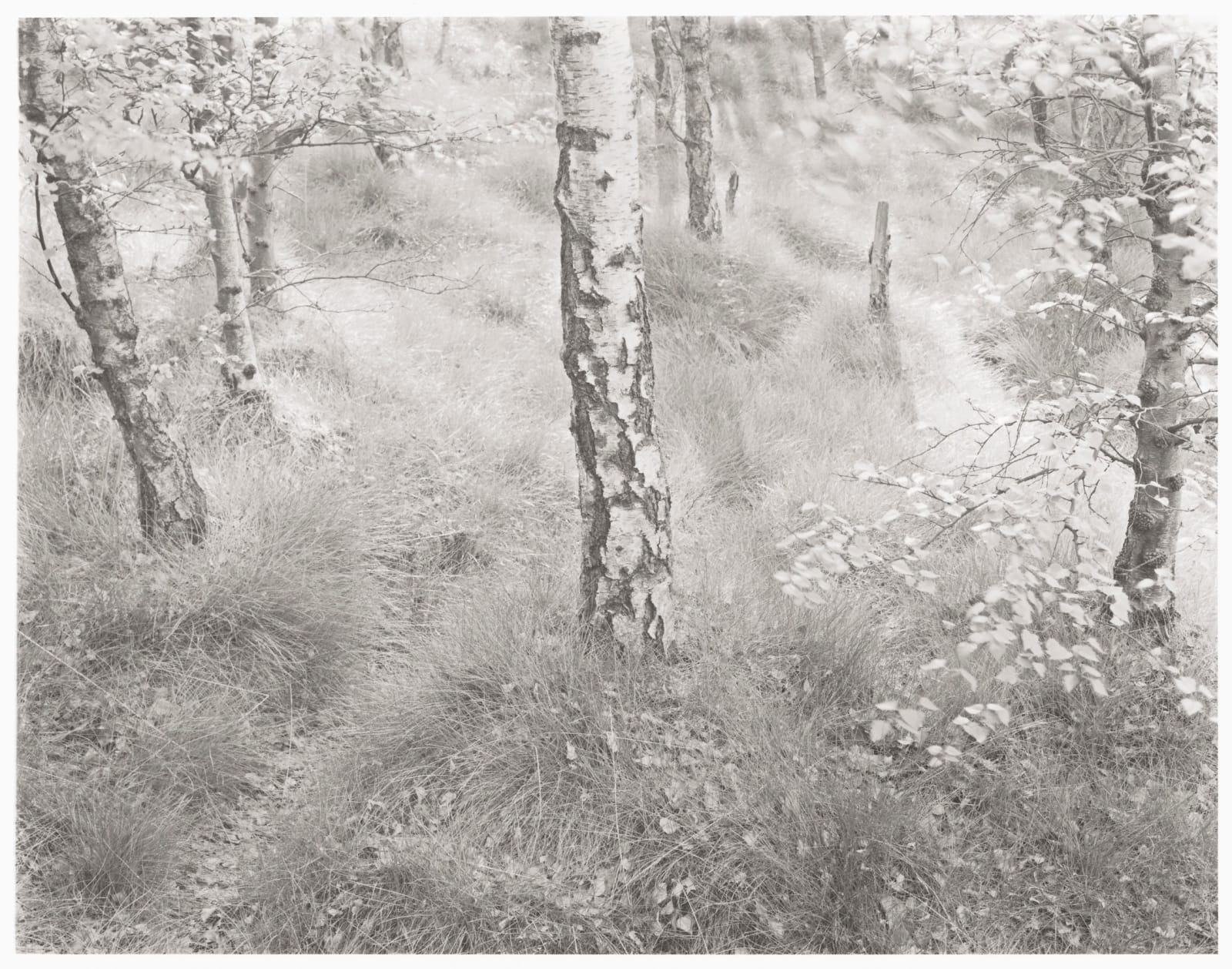 John Blakemore, From "Lila" Sequence 2 (Shirley, Derbyshire), 1976