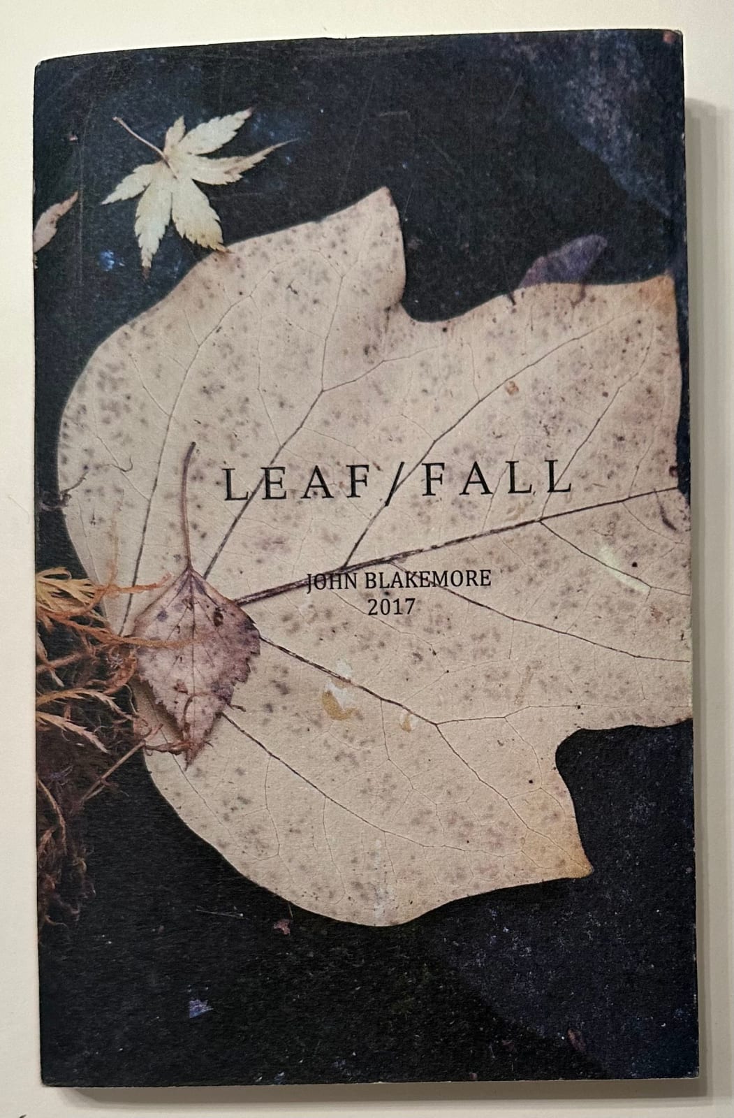 John Blakemore, Leaf / Fall, 2017