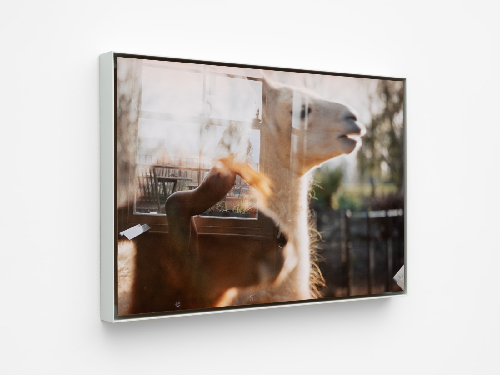 Leigh Johnson, For a moment he thought of breaking the lease, 2016