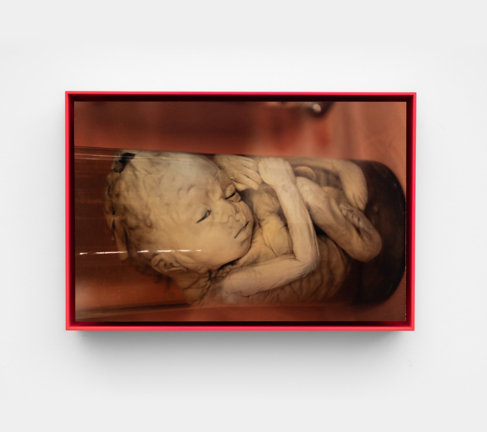 Leigh Johnson, He passes the tractor graveyard“ or maybe it's an old person's home - with cars zipping by, 2019