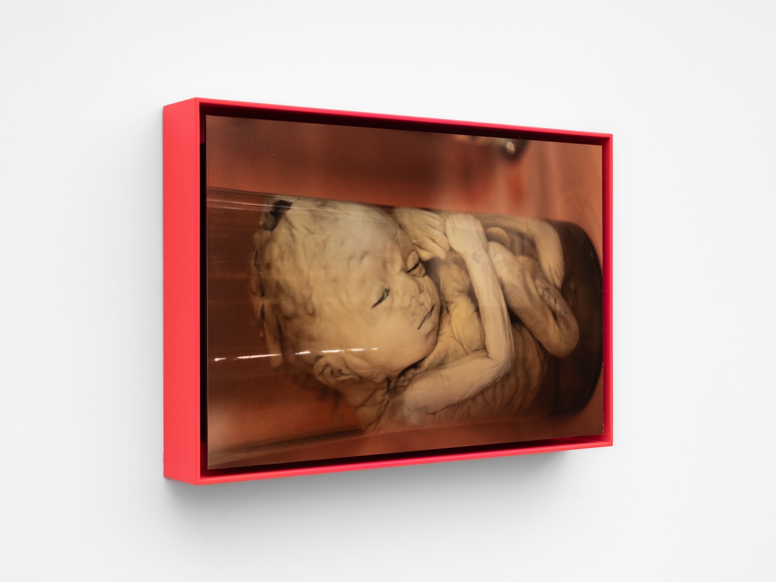 Leigh Johnson, He passes the tractor graveyard“ or maybe it's an old person's home - with cars zipping by, 2019