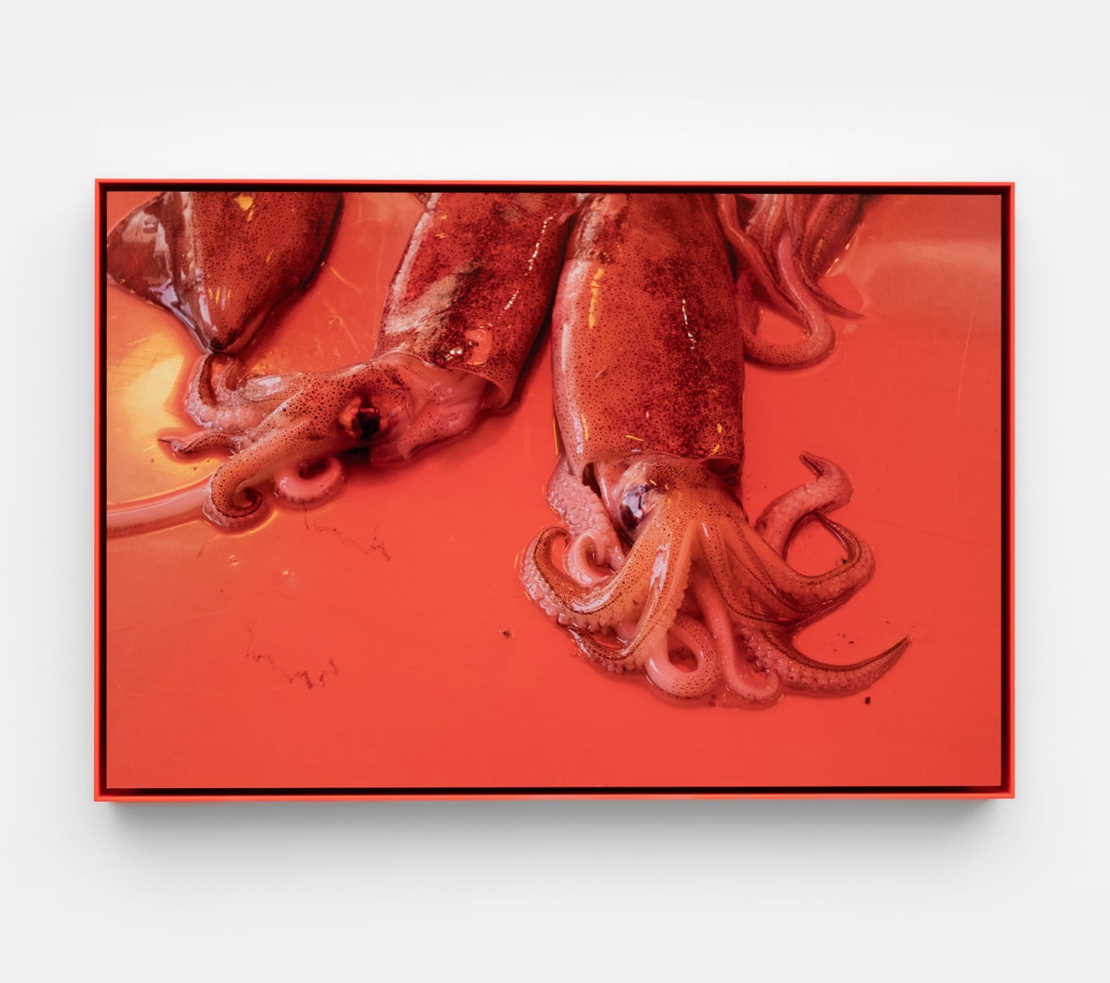 Leigh Johnson, A wall was built for the assassins, hijackers and thieves, 2018