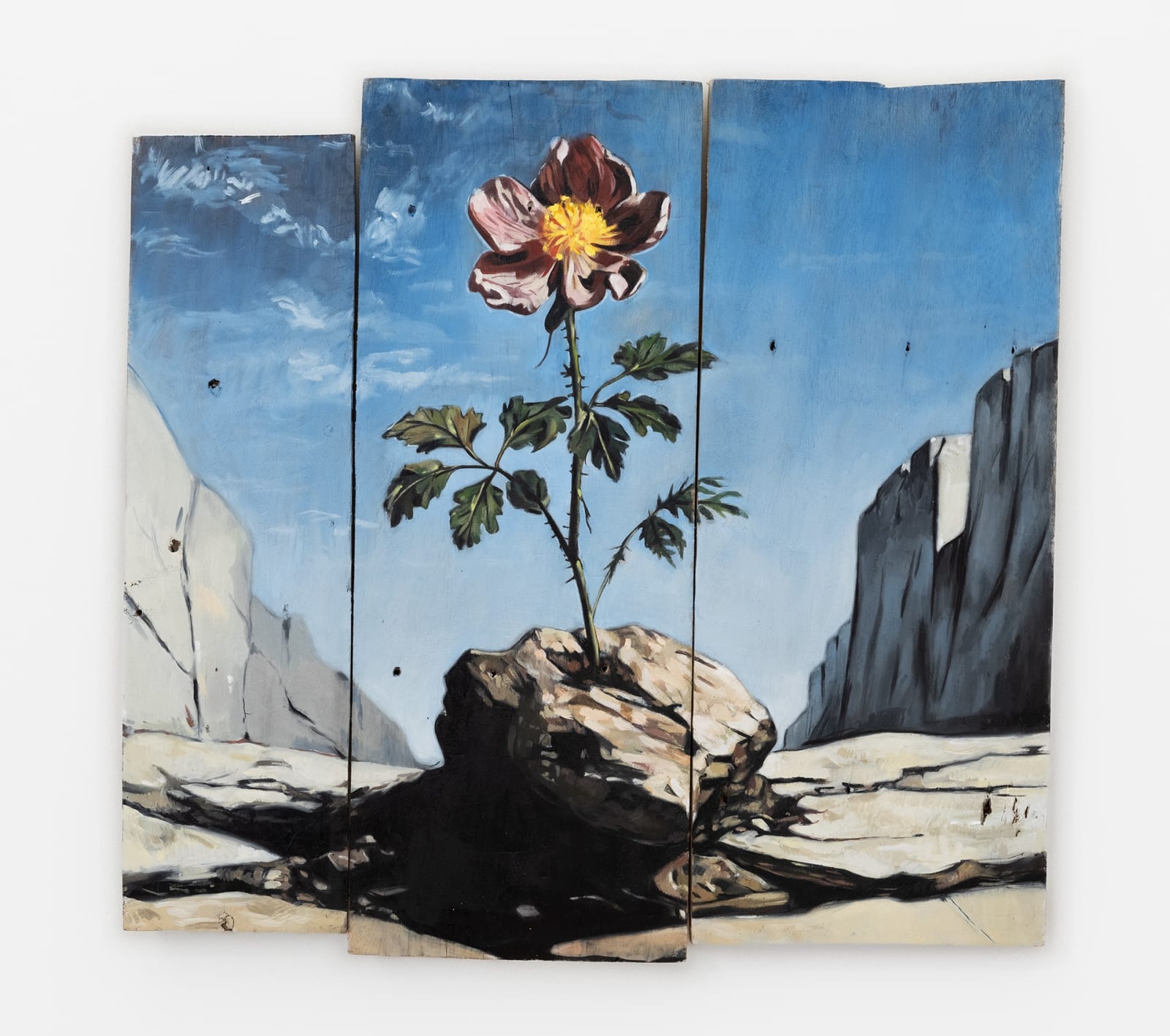 Oliver Clegg, blumenkraft, 2023