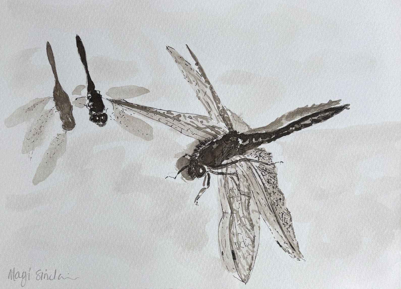 Magi Sinclair, Other Worldly, Dragonfly