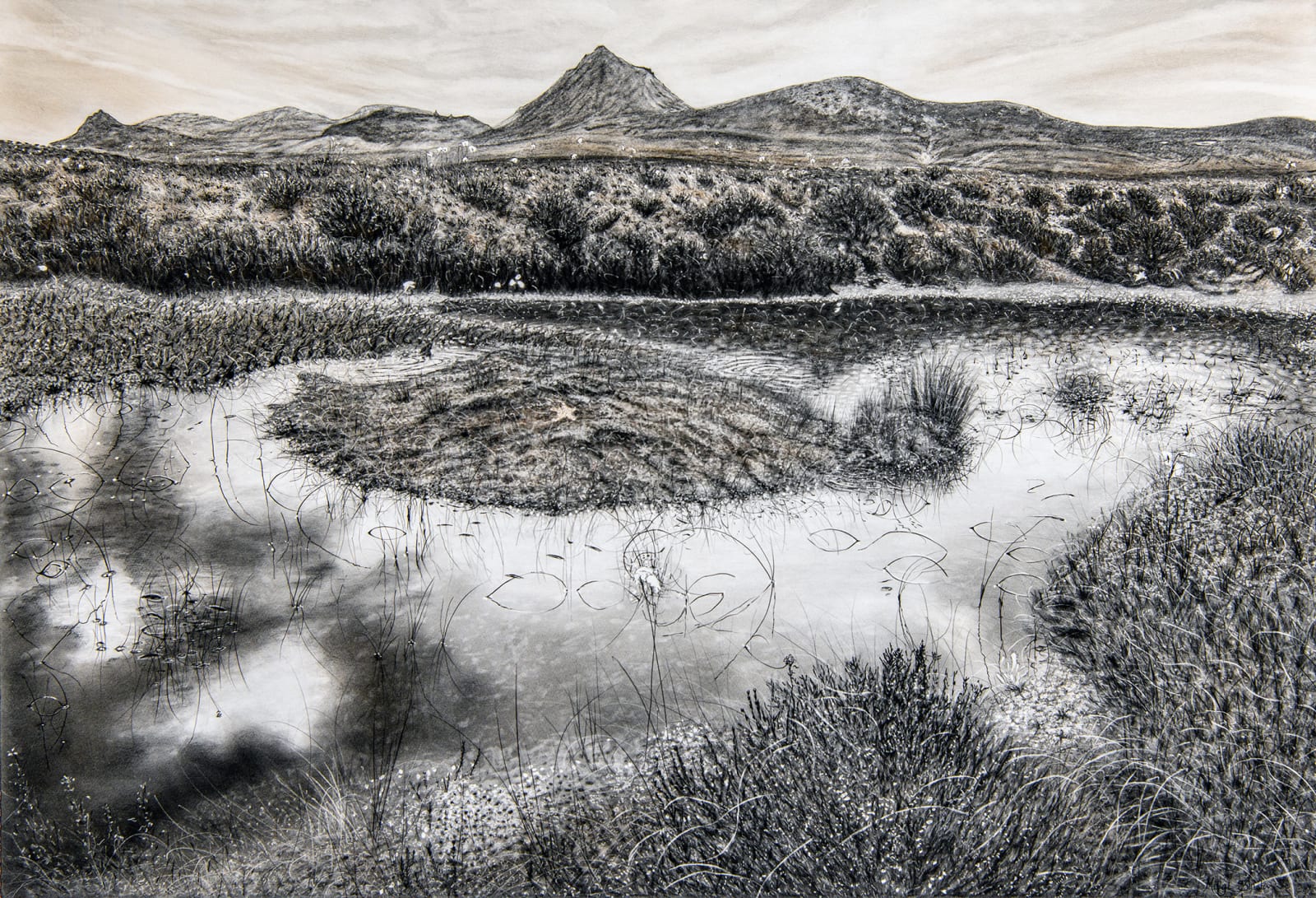 Magi Sinclair, CURLING GRASSES, MORVEN .