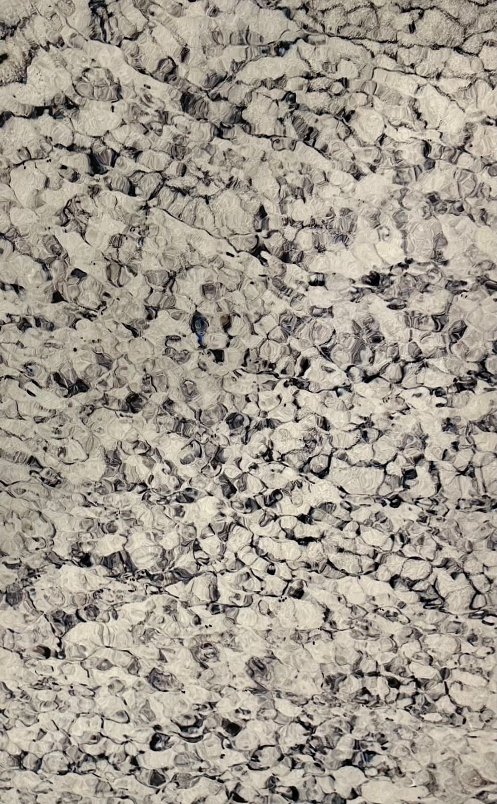 Rebecca Marr, Linklet Bay II, North Ronaldsay