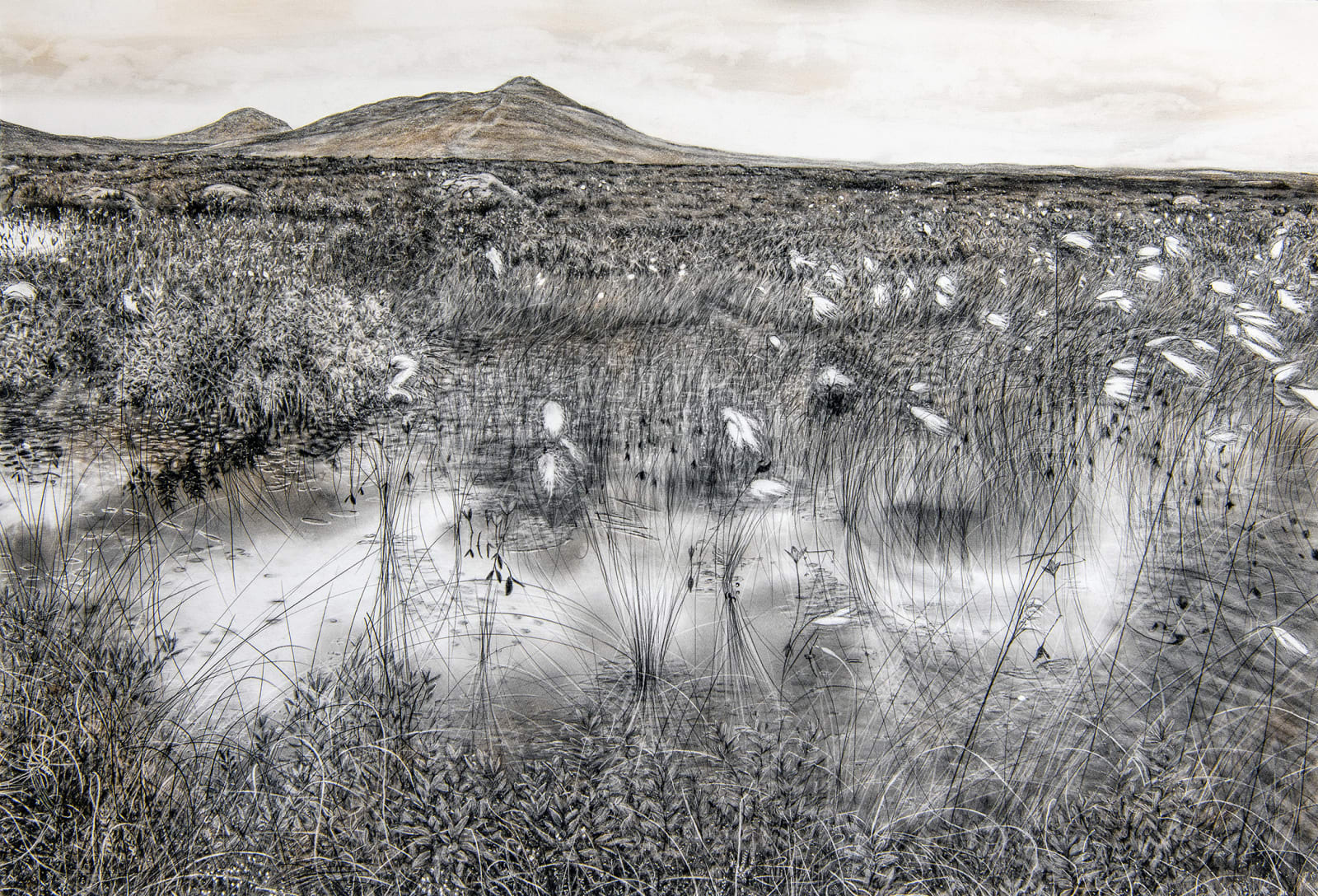 Magi Sinclair, THE DREAMING BOG.