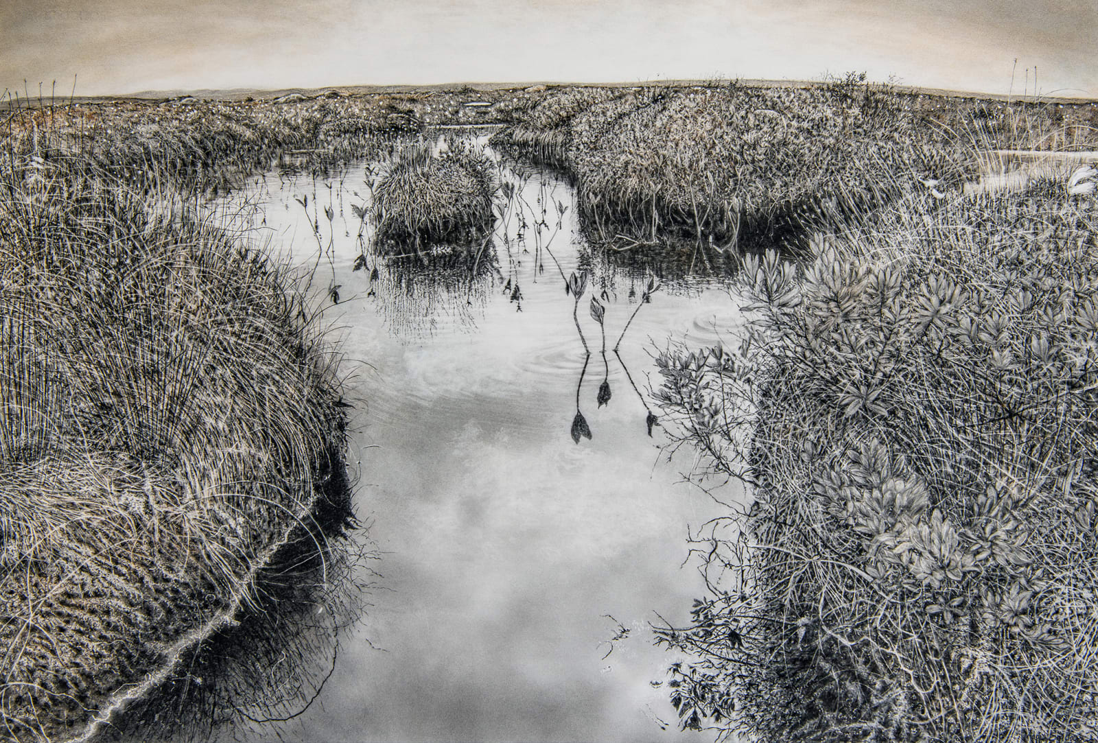 Magi Sinclair, WE THREE AMONG THE HUMMOCKS.