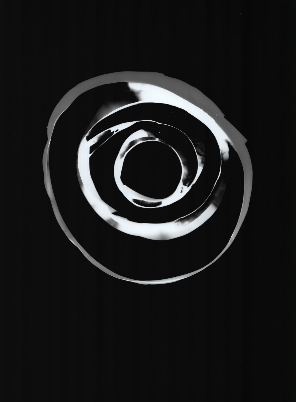 Rebecca Marr, Tangle Circle II, Laminaria Digitata, 2023