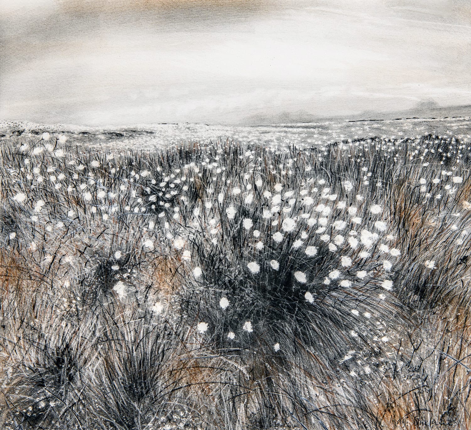 Magi Sinclair, COTTONGRASS, STUDY 1
