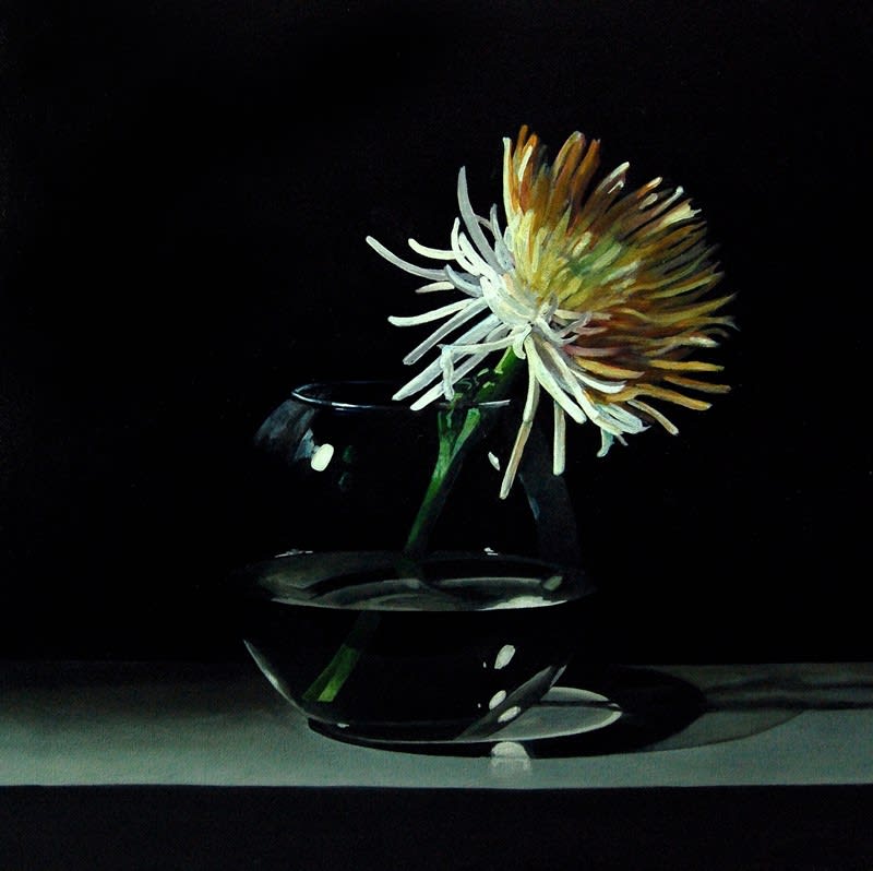 Andrew Thompson, Chrysanthemun In A Bowl