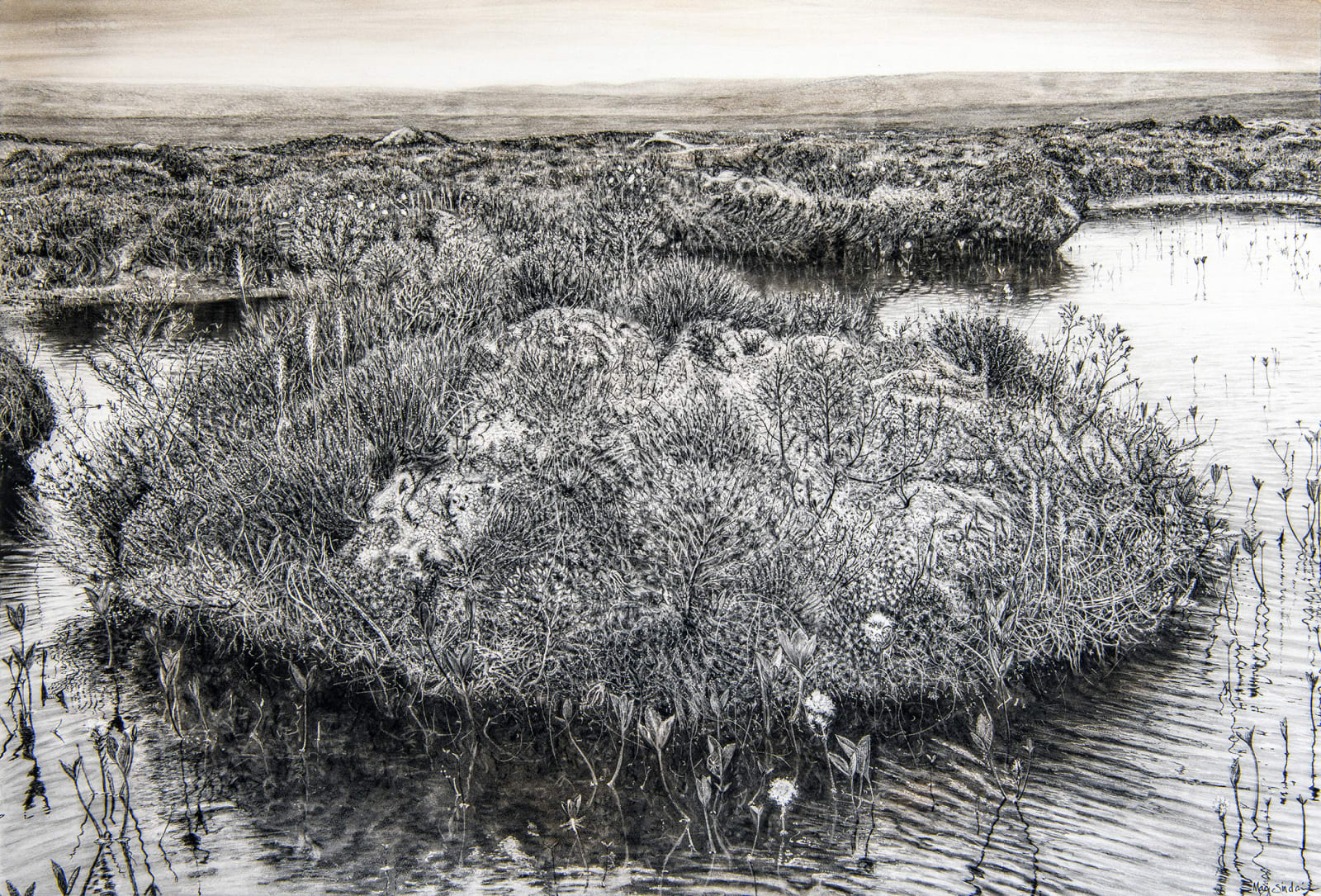 Magi Sinclair, THE GREAT PIECE OF TURF, THE HUMMOCK.