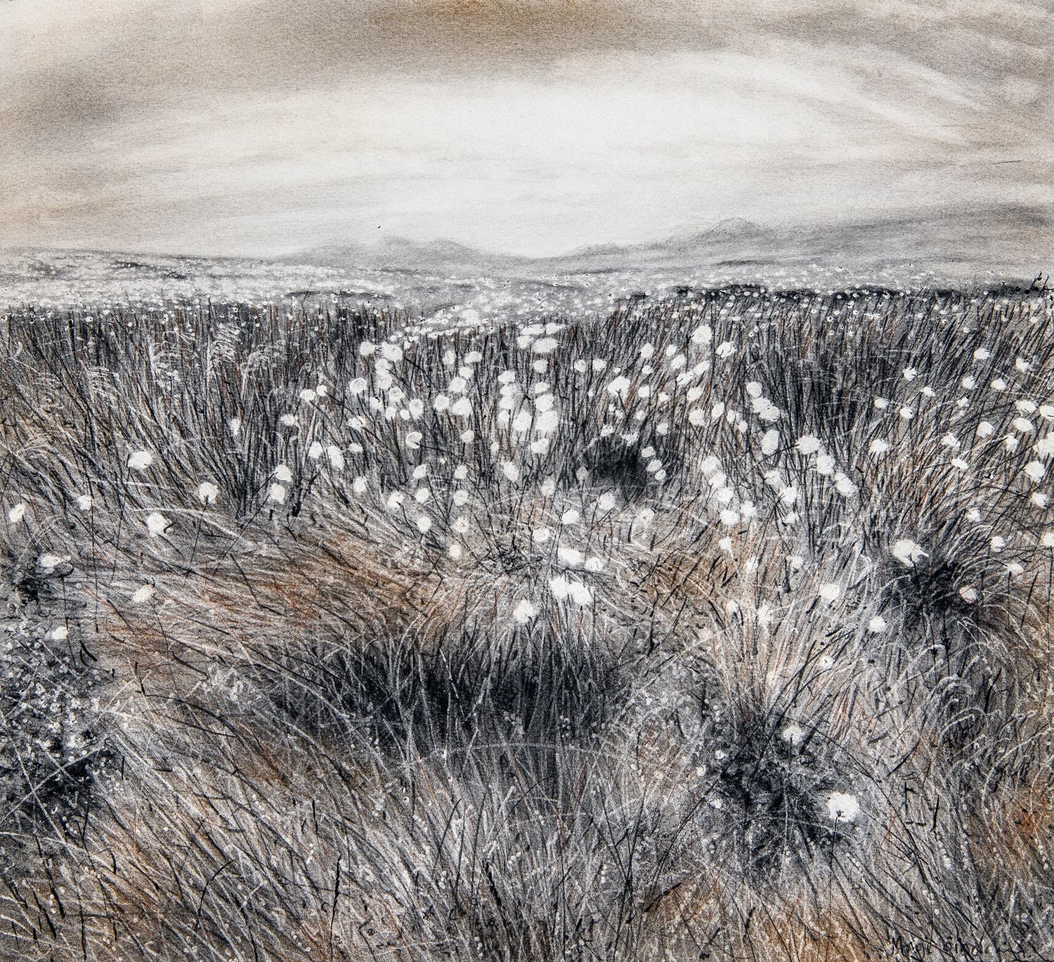 Magi Sinclair, COTTONGRASS PATTERNS , STUDY 2.