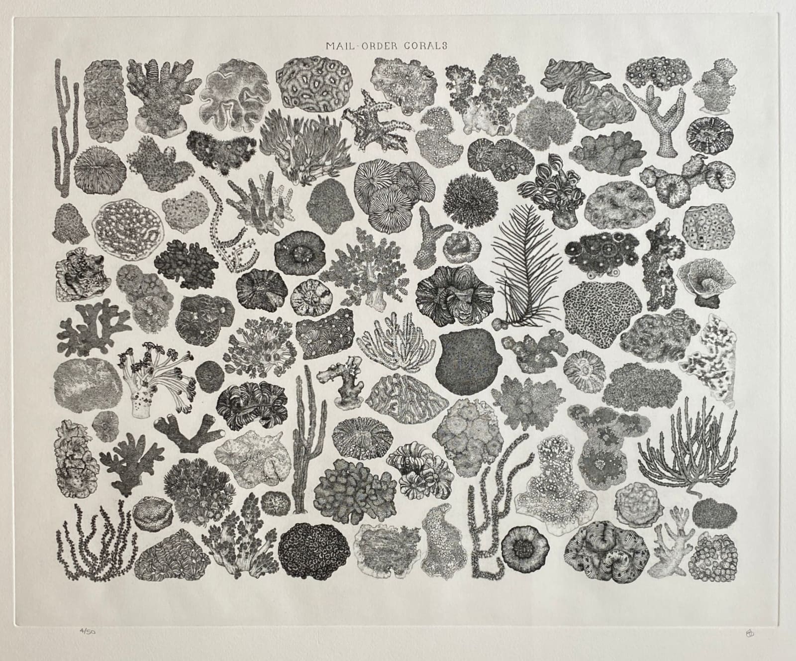 Jodi Le Bigre, Mail Order Corals, 2023