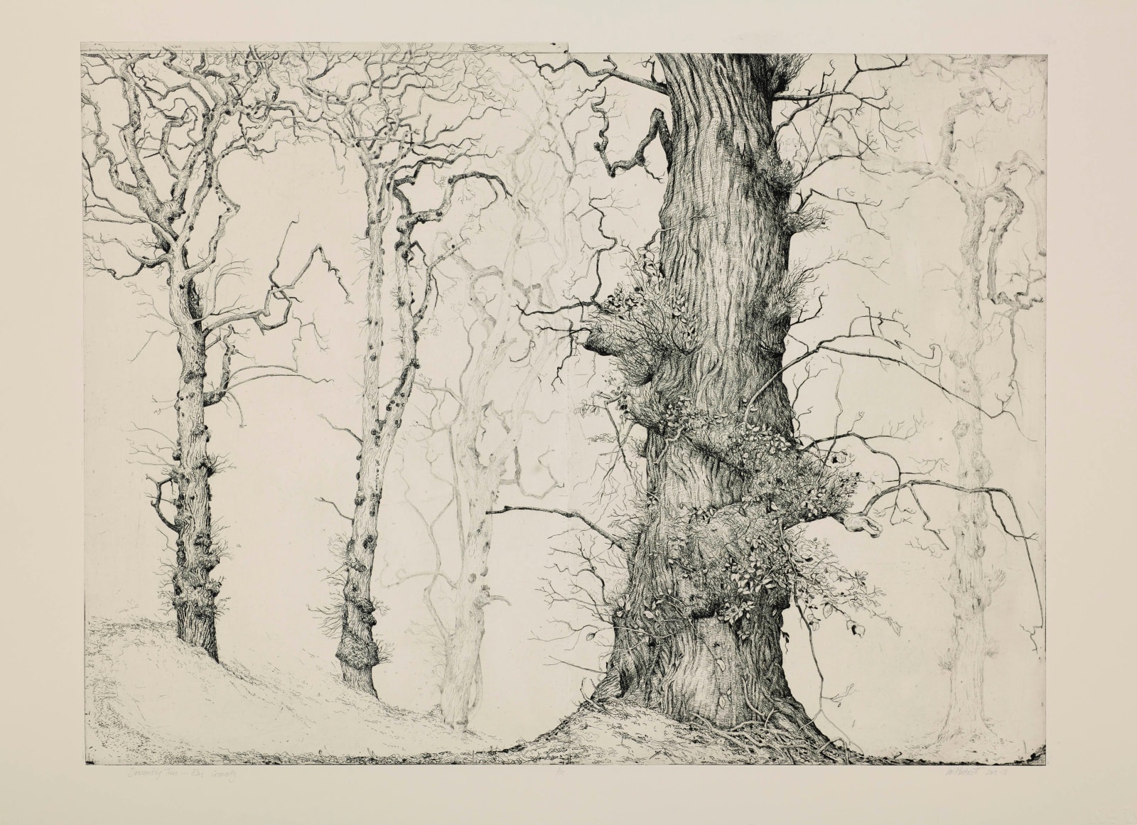 Ian Westacott, Descending Trees, 2024