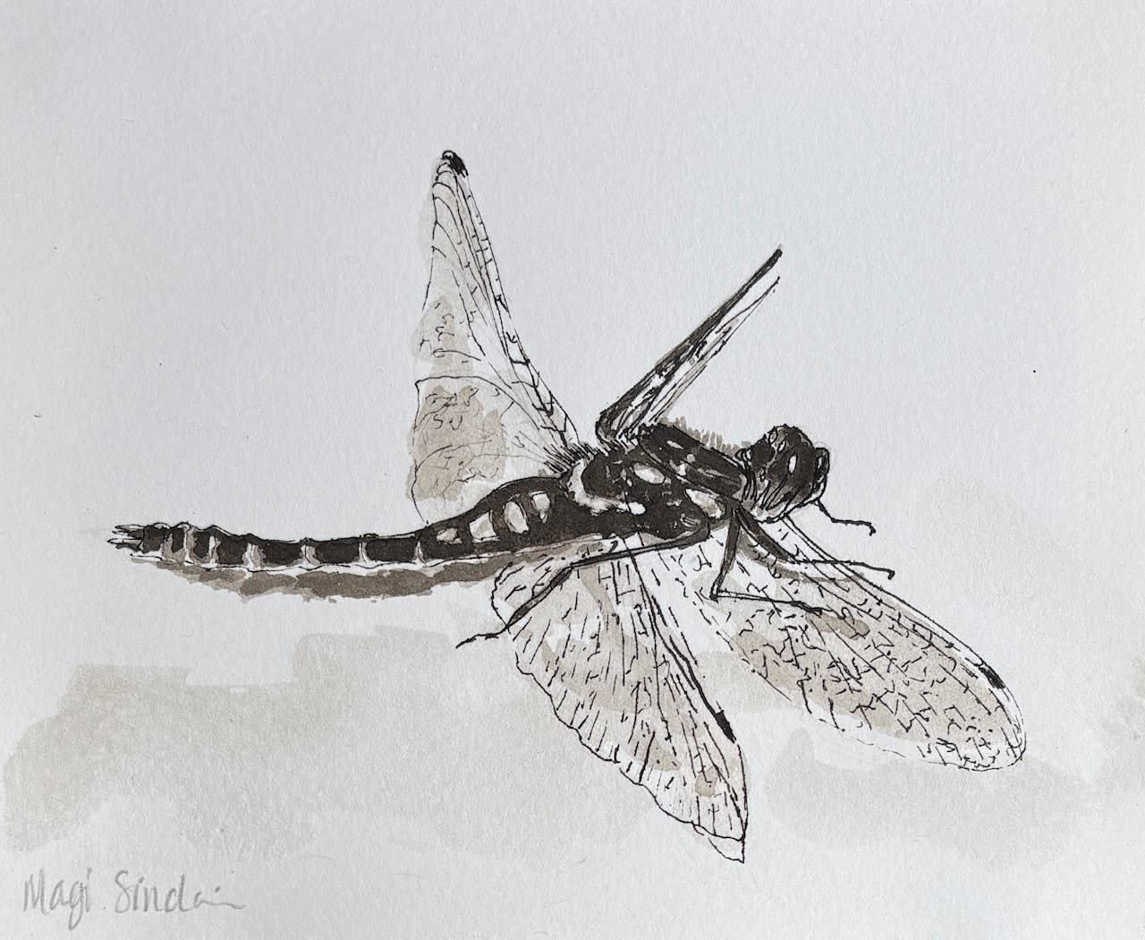Magi Sinclair, Other Worldly, Dragonfly