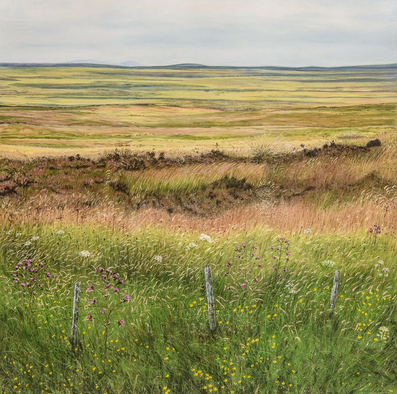 Magi Sinclair, CAUSEWAYMIRE LAND PATTERNS.