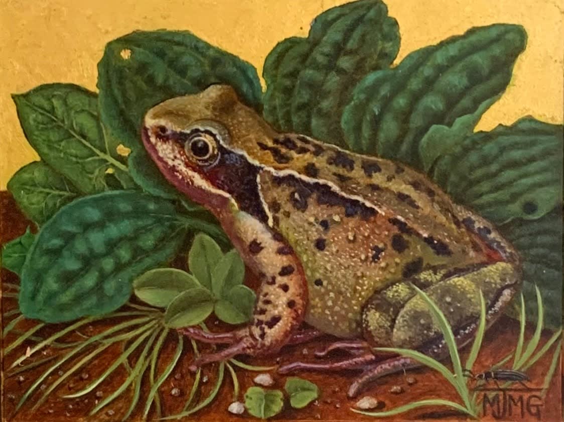 Marcelle Milo-Gray, Meditation on a Frog