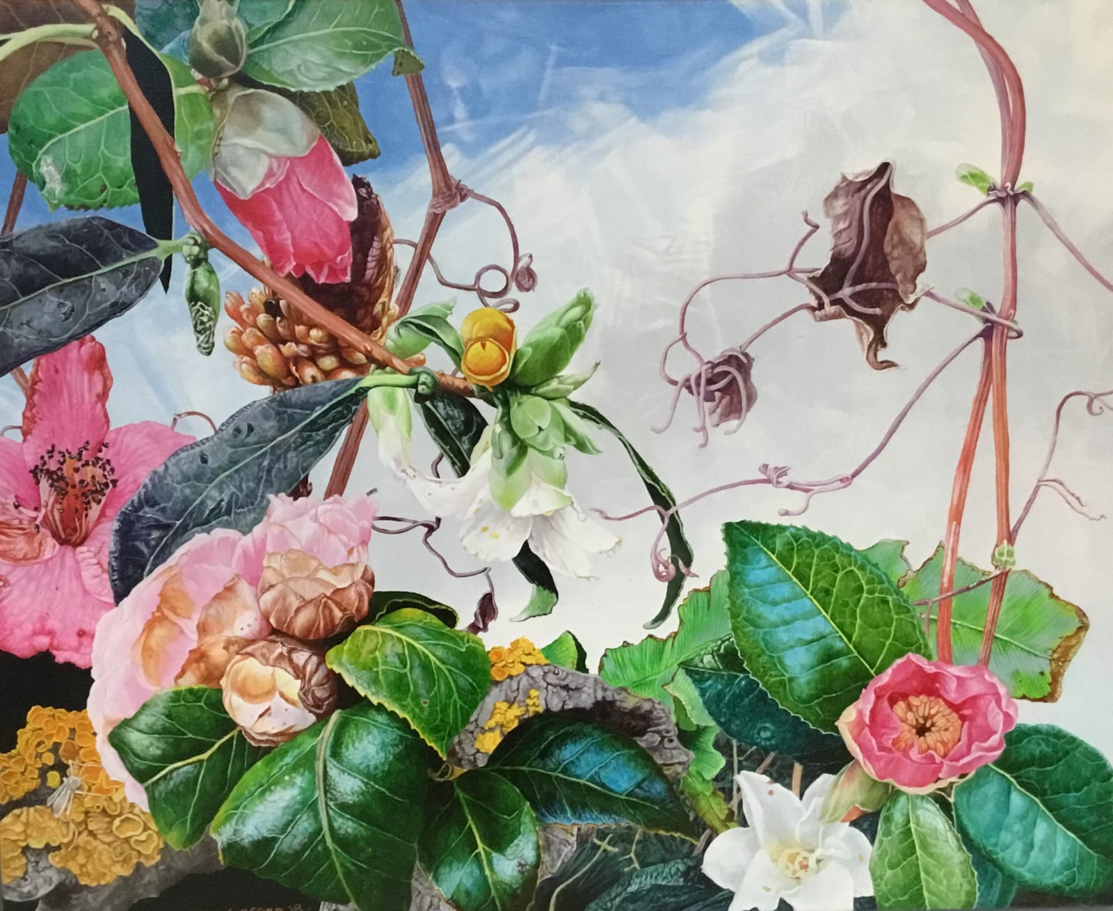 John Hurford, Camelias in Spring, 2018