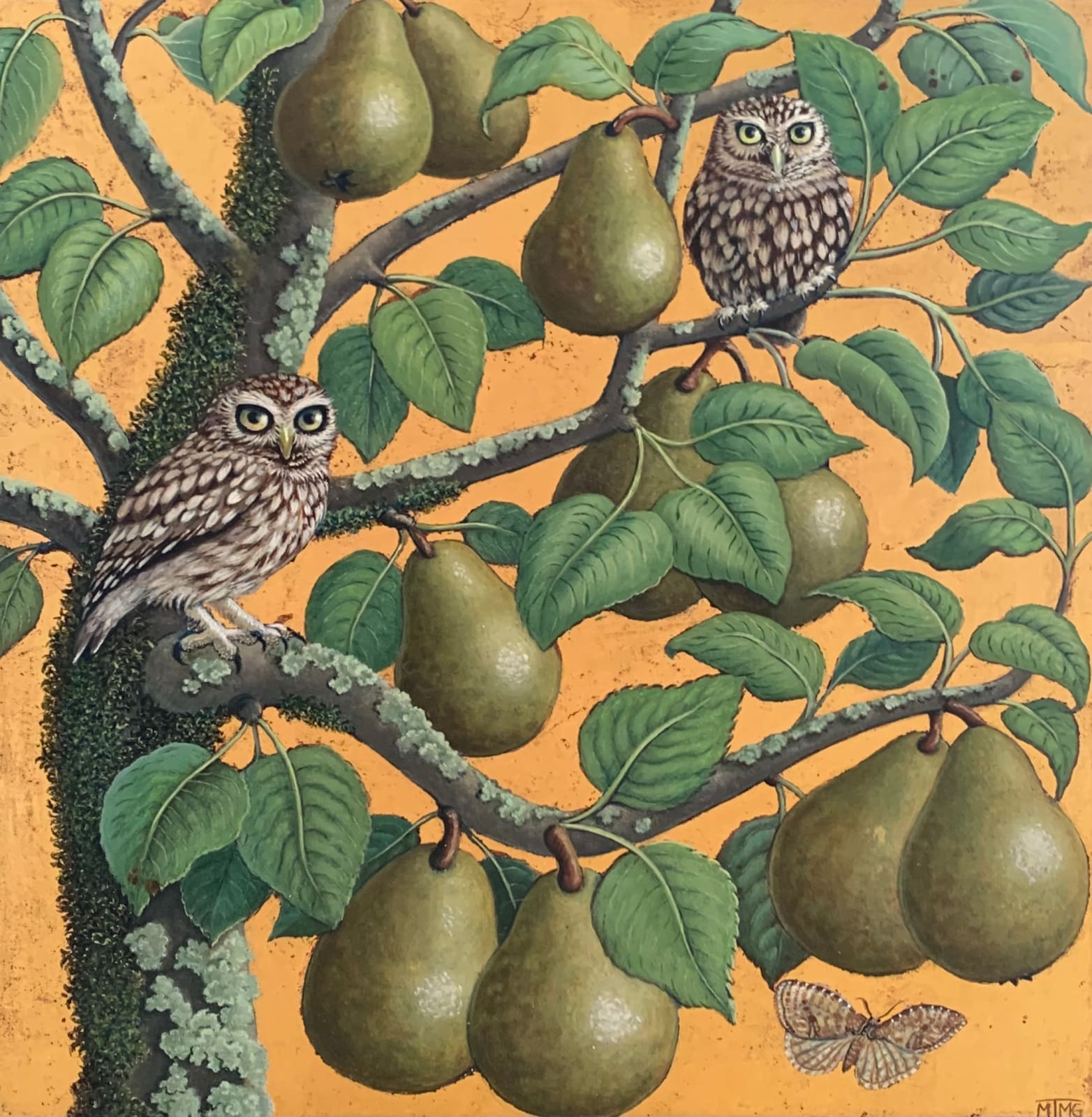 Marcelle Milo-Gray, Little Owls and Pears