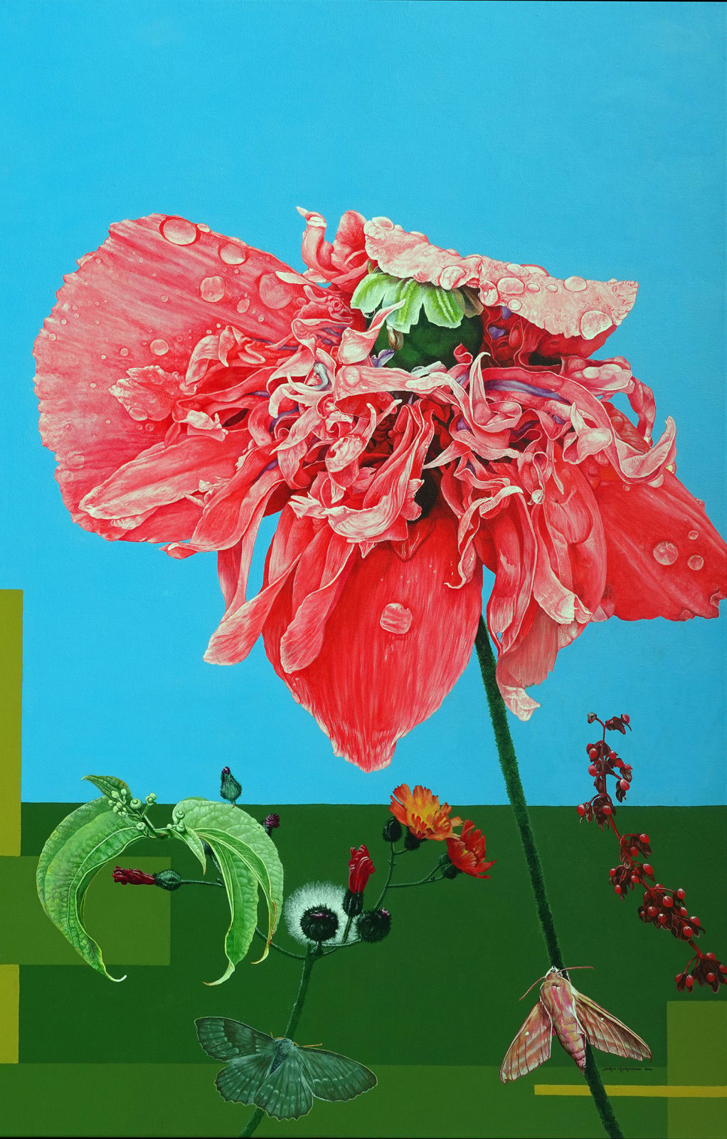John Hurford, Ragged Poppy