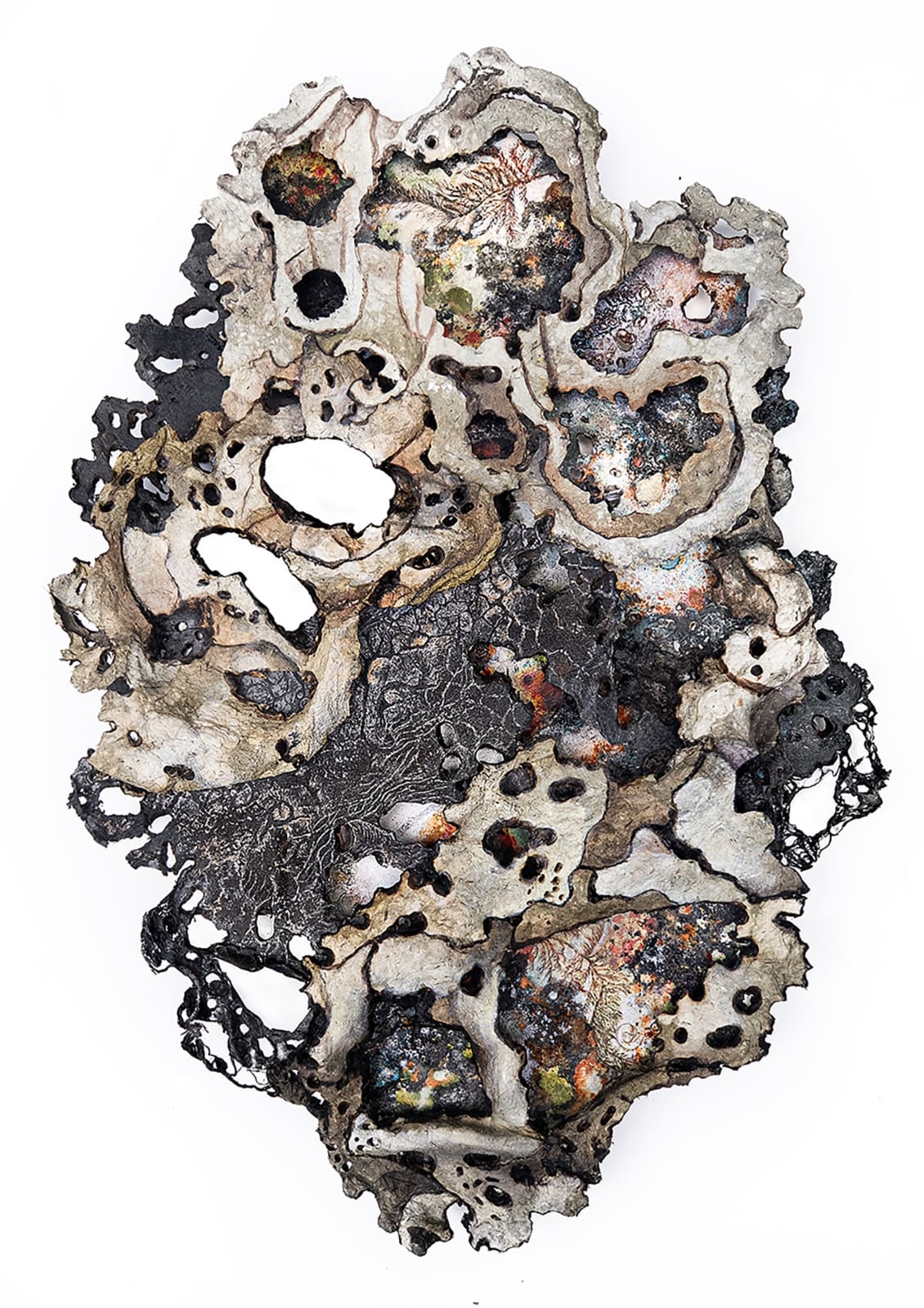 Emma Lamb, Hollows of the Sphagnum Mire , 2025