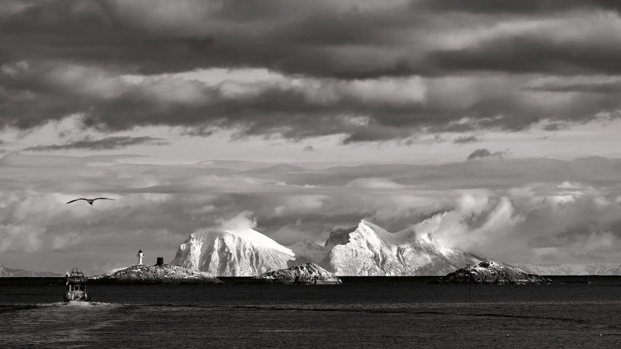 Konrad Bartelski, Gone Fishing , 20