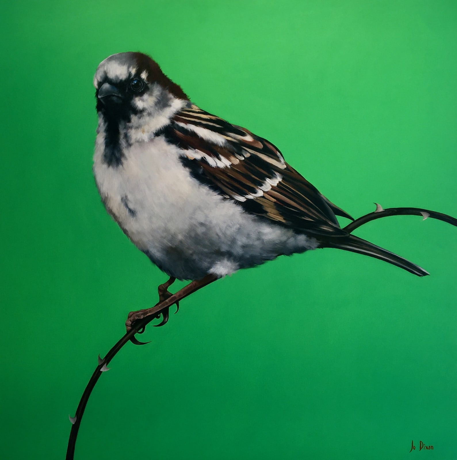 Jo Dixon, Sparrow on Green