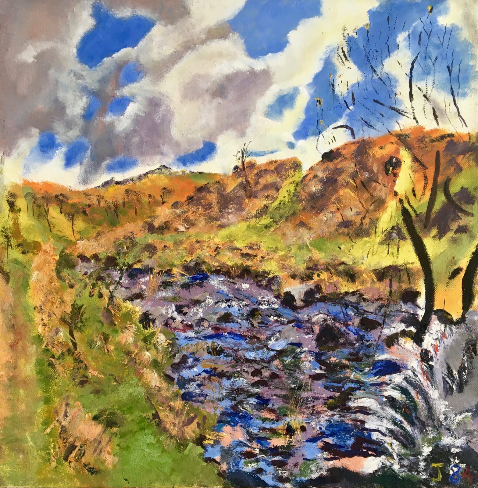JEAN JONES, Dartmoor: Plym Spring, 1984