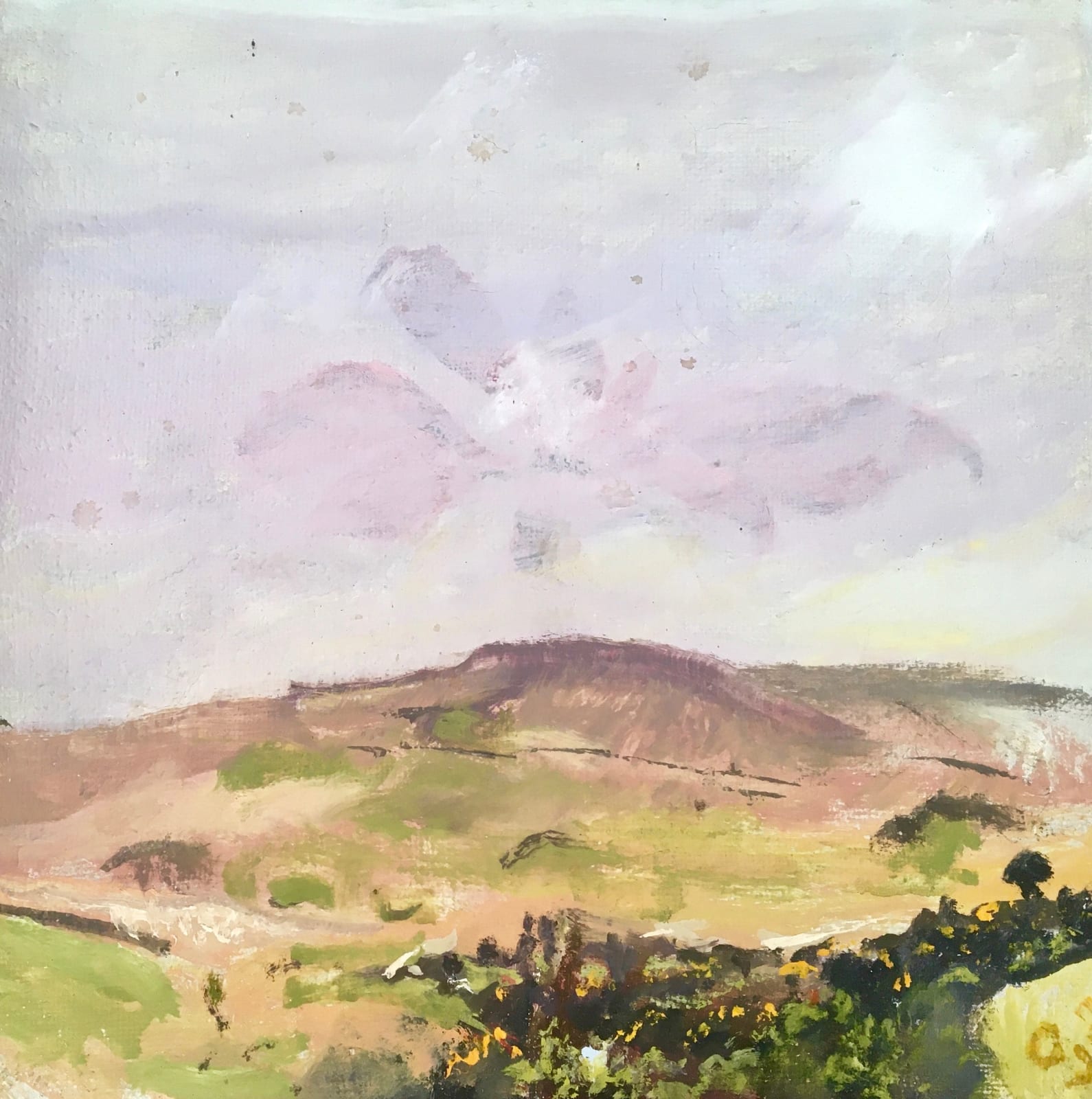 JEAN JONES, From Yellands, 2009