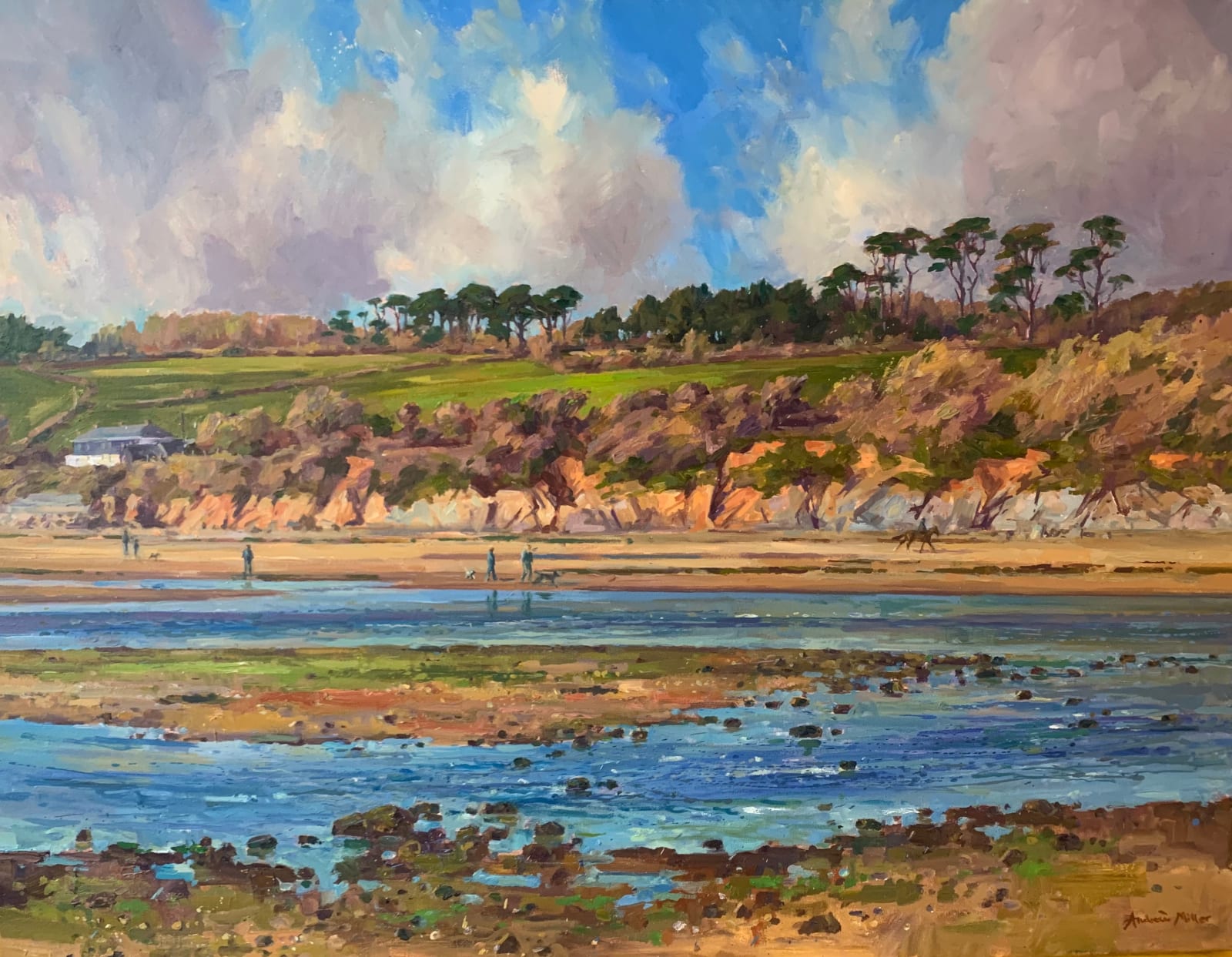 Andrew Miller, Low Tide, Coastguard Cottages, Wonwell