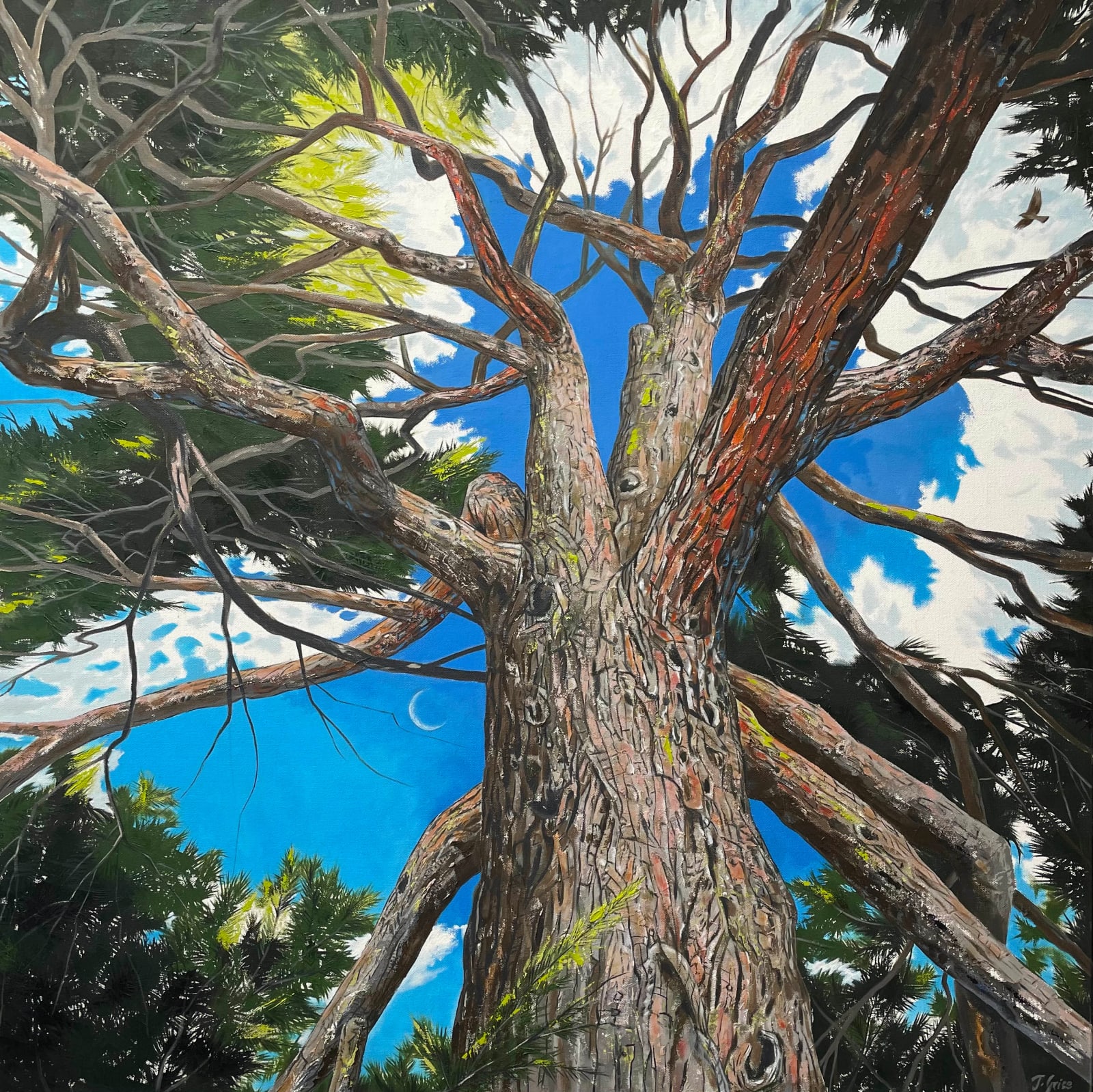 John Grice, Pine with Cresent Moon