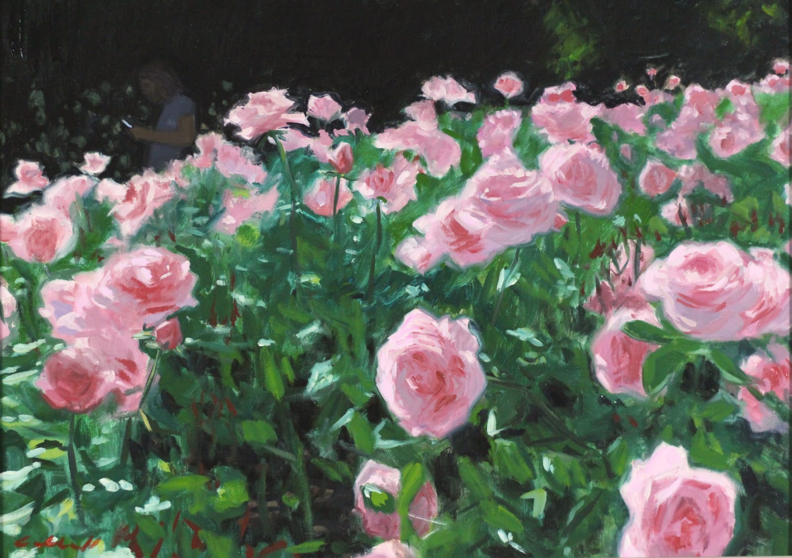 Nick Cuthell, Roses in Regents Park , 2017
