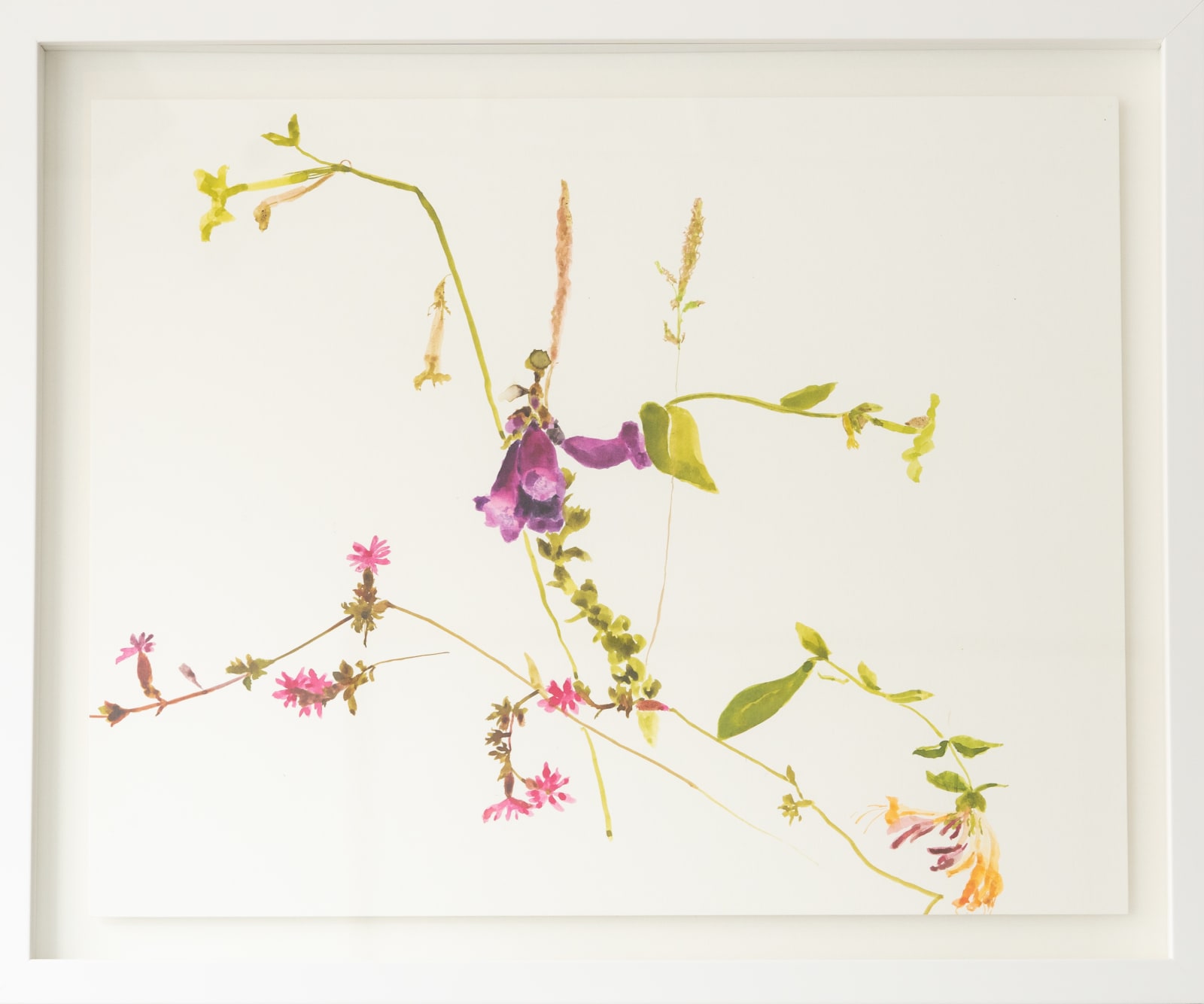 Nickie Carlyon, Flower Meditation No. 11, 2020