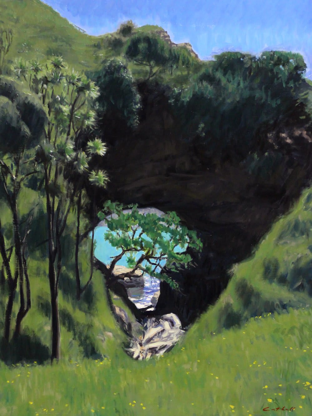 NIck Cuthell, Te Kotere o te Whenua, Cooks Cove, 2017