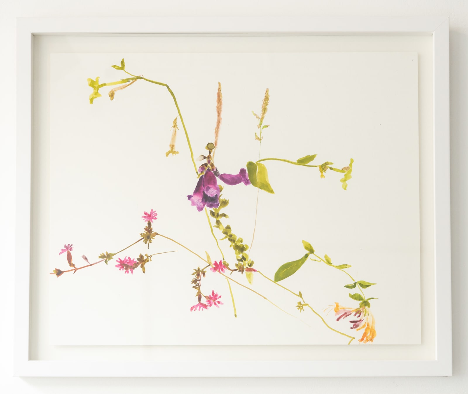Nickie Carlyon, Flower Meditation No. 11, 2020