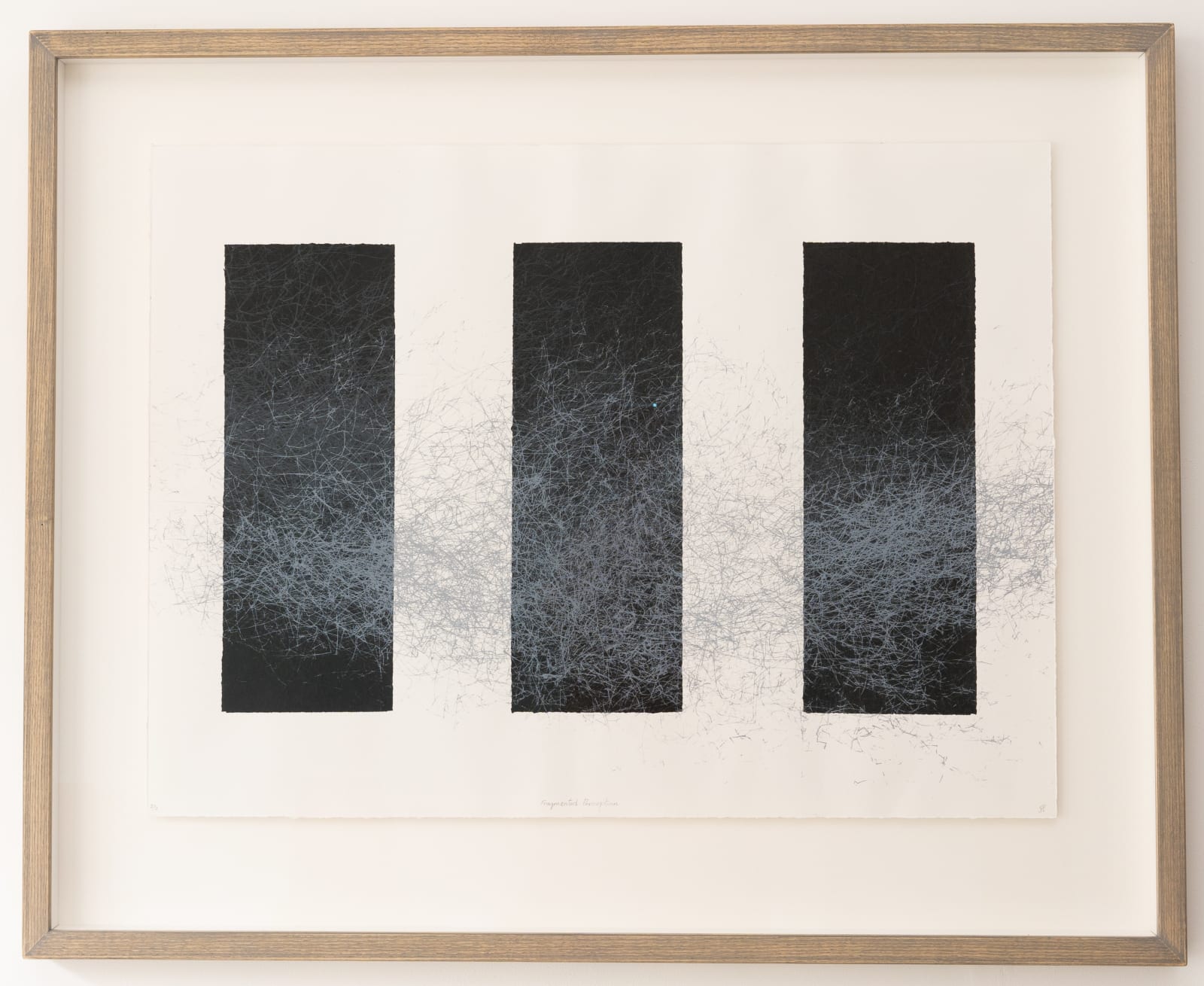 Julie Leach, Fragmented Perceptions I Wind through the Acacia Tree, 16 mph westerly, 525 minutes, 2017
